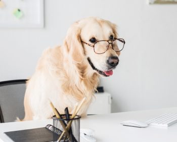 seo-hero-blog