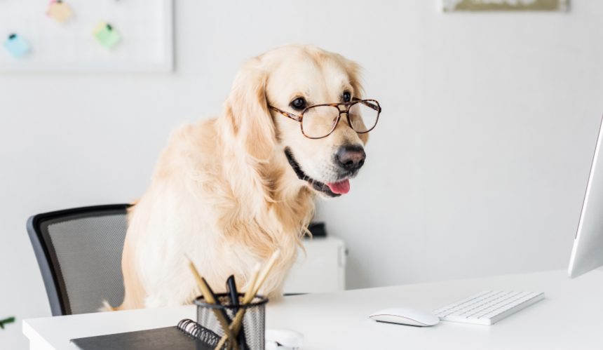 seo-hero-blog