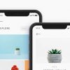 seo-hero-portfolio