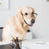 seo-hero-blog