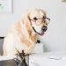 seo-hero-blog